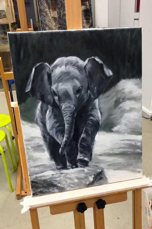 Completed! Baby elephant in B&W. Water soluble oil on canvas!