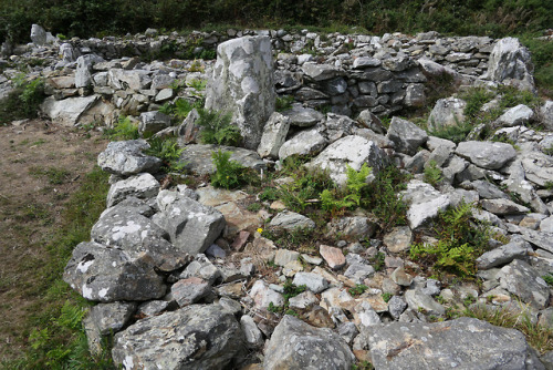 Prehistoric Hut Circles, South Stack, nr. Holyhead, Anglesey, 14.8.18.A series of roundhouse foundat