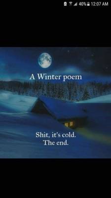 So damn cold.  I hate the cold.  Not 40, not 30, not even 20 degrees F, but when the highs are all below 20F for a week or more that’s when I get really tired of the cold.