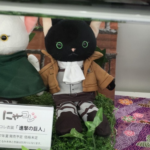 snkmerchandise: News: Shingeki no Kyojin x Broccoli Nyaa~ Costumes Original Release Date: July 2017Retail Price: 2,100 Yen each A first look at the upcoming Survey Corps cape & Levi uniform outfits for Broccoli’s Nyaa~ Costumes at AnimeJapan 2017!