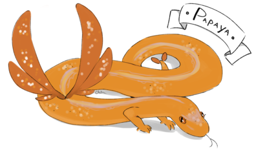 snakesnoots: shoutout to @elisabomb for letting me turn her snake Papaya into a snake dragon ! ANYWA