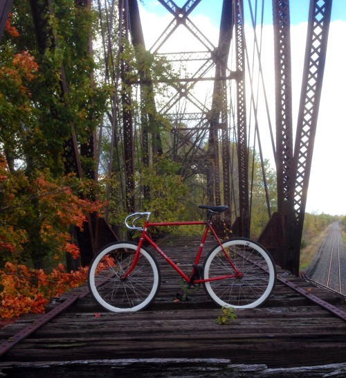 bikesandgirlsandmacsandstuff: (via The Fixed Gear World: #SENDUSYOURBIKE: @allycatofthecave Sekia 5