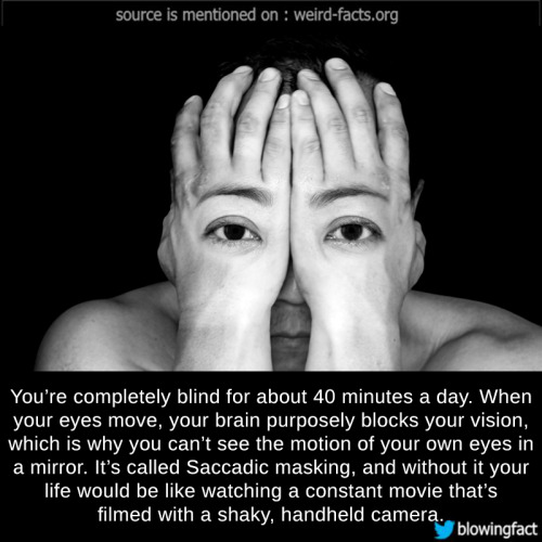mindblowingfactz:    You’re completely blind for about 40 minutes a day. When your eyes move, your brain purposely blocks your vision, which is why you can’t see the motion of your own eyes in a mirror. It’s called Saccadic masking, and without