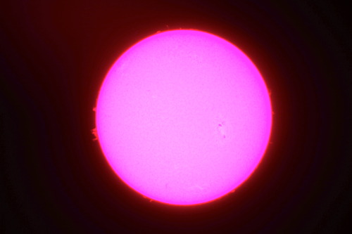 knowyournebulae:  The sun in H-alpha.  Taken with a Takahashi telescope and a Cannon Rebel T2i