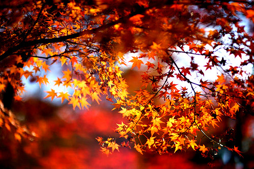 Porn Pics Happy Autumn