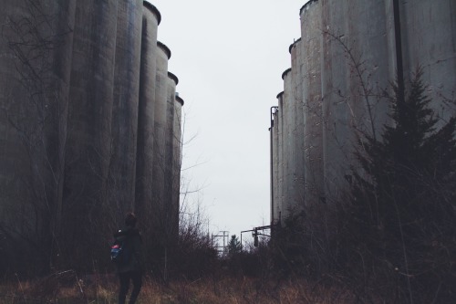 danielodowd:  theanthonysky