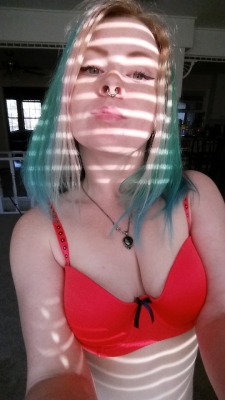 chellesilverstein:  clips4sale     manyvids