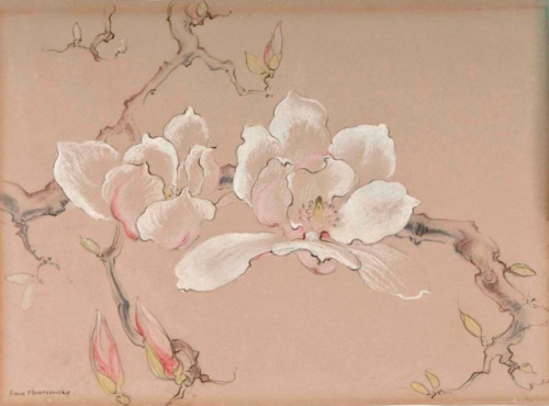 Anne Montgomery, Magnolias