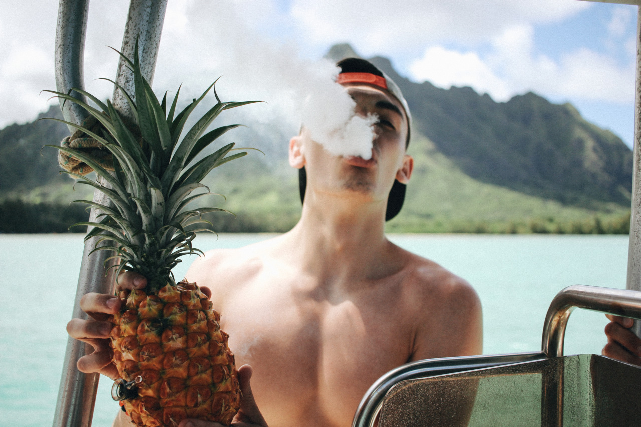 cityofpurple:  pineapples aren’t only for eating :)