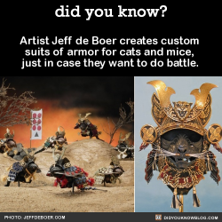 did-you-kno: Artist Jeff de Boer creates custom  suits of armor for cats and mice,  just in case they want to do battle.  Source 