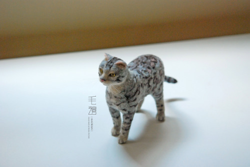 ▋ Bengel Cat ( custom-made ) Sculpture approximately 7 x 17 x 17 cm ( not including the tail )
