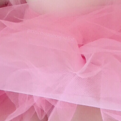 princessmeowsalot:  Tutu Tuesday! 💕🌸🎀 (Feel free to submit!) 