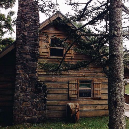 whiskandwhittle:Source IG @thewoodcrate