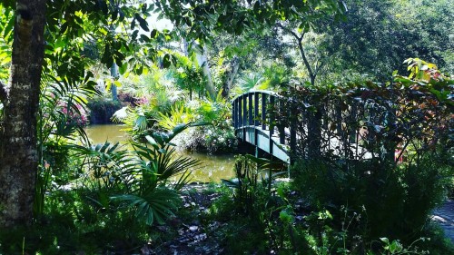 clarify-your-world:Garden of the groves in Freeport bahamas.