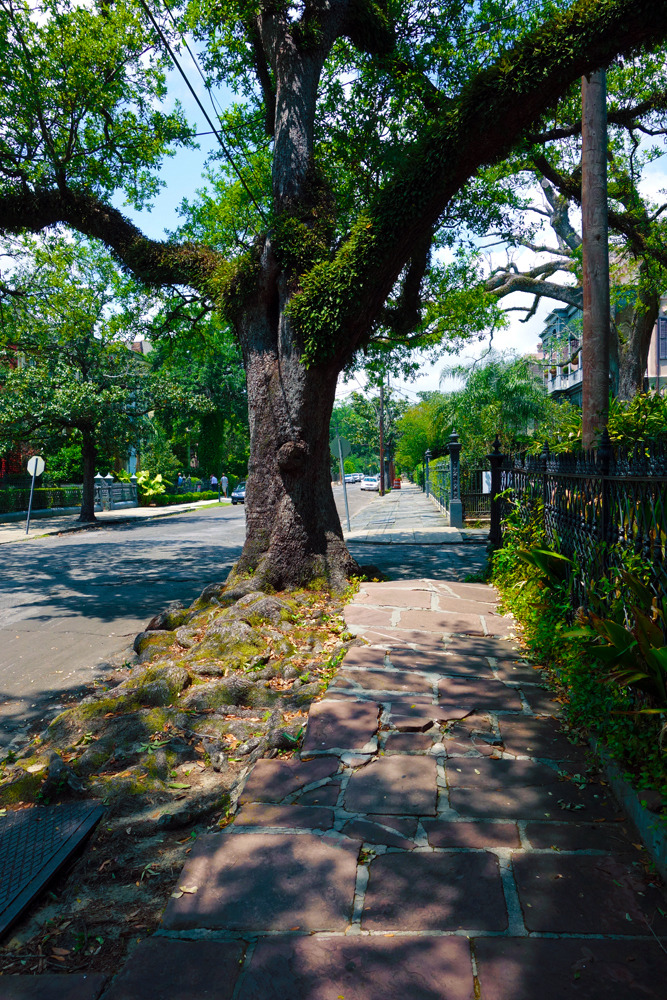 taissiab:  First Street in the Garden District, New Orleans. Anne Rice’s Vampire