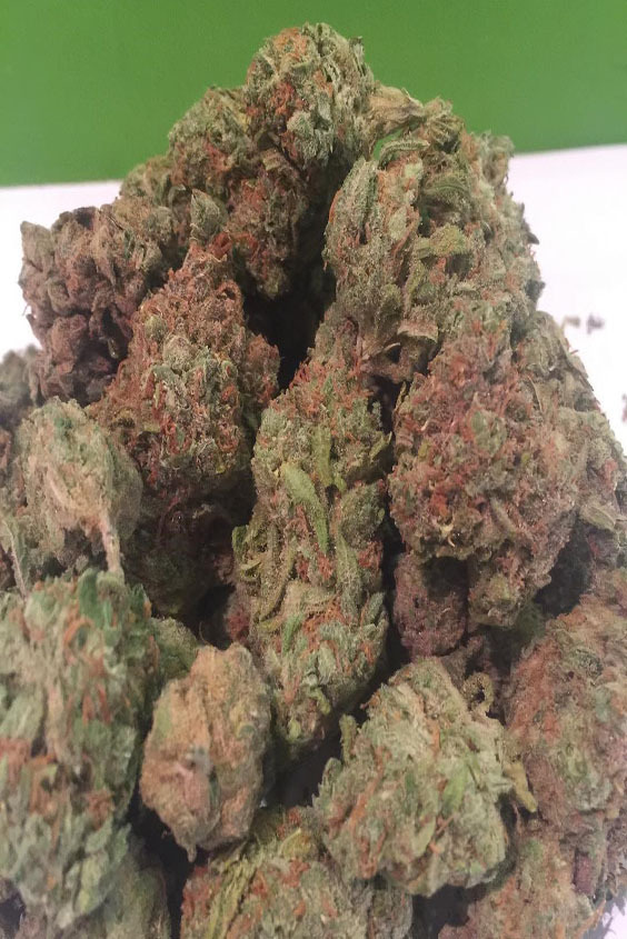 herbtothebong:  lot’s of herb