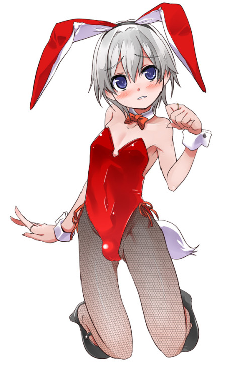Cute Dicks and Tits~♥