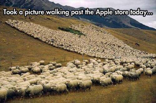 Porn Pics We are the sheep; we will obey