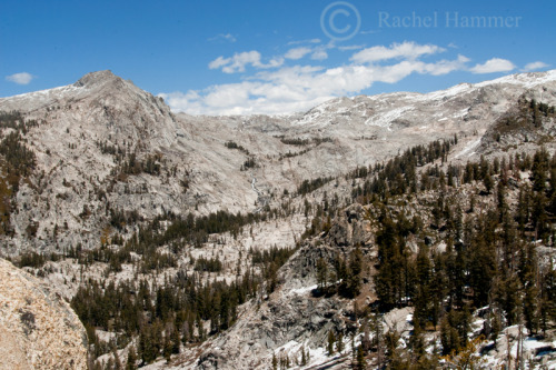 View from the Hump Trail in Sequoia National ParkCheck out my blog here and my redbubble shop for mo