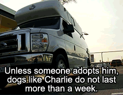 huffingtonpost:  This makeover literally saved Charlie’s live. See the full video