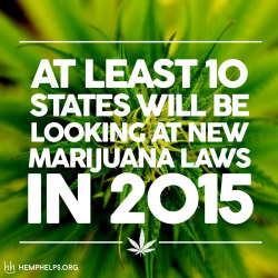hemp-helps:  2015 will be a big year for hemp. Find out if your state is one of them over at Our Blog. Make Hemp Part Of Your Everyday By Checking Out Our Products