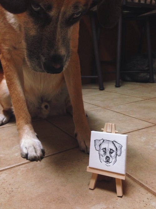 Mini portraits of the dogs. Just need to add paint!