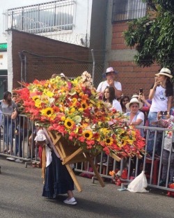 #feriadeflores2017 #desfiledelossilleteros