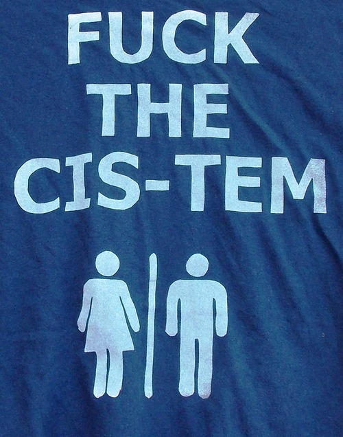 queernonywolf:  tortillapower:  Fuck The Cis-Tem Tshirts!http://www.etsy.com/shop/TortillaPower  o. m. g 