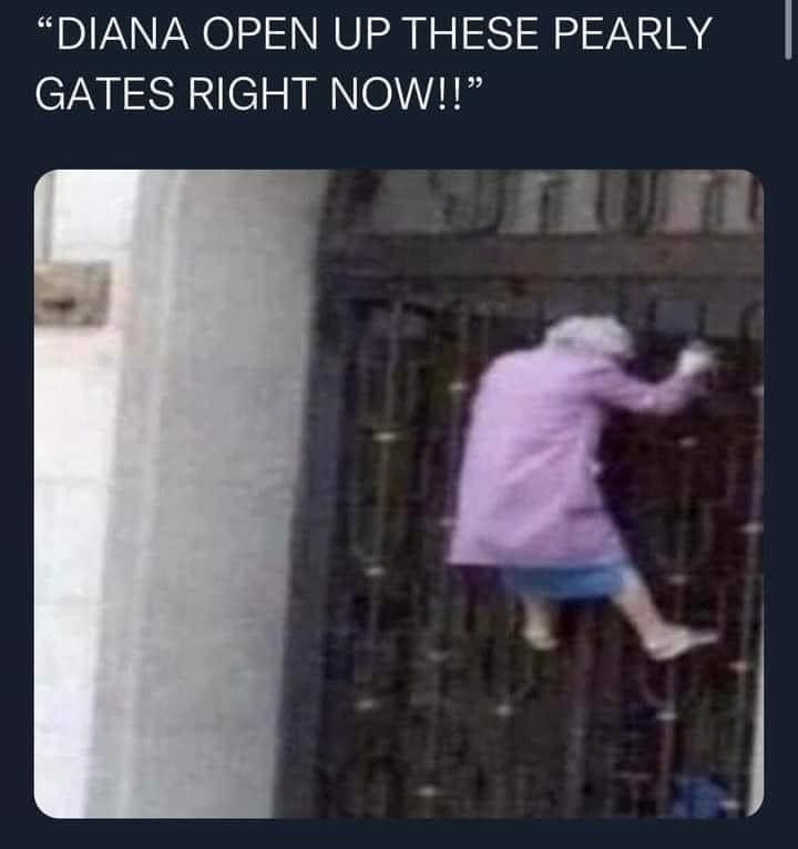 MEME PLUG on Tumblr
