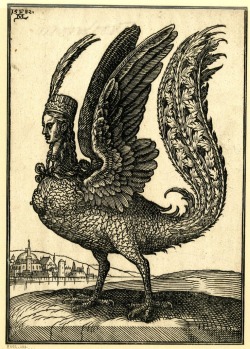 blackpaint20:  Book illustration of an unidentified mythical, bird-like creature with a long tail and human head, wearing a hat with two long feathers. Taken from a series of 127 woodcuts by Melchior Lorck, German, 1582 | Melchior Lorck, vol.III, catalogu