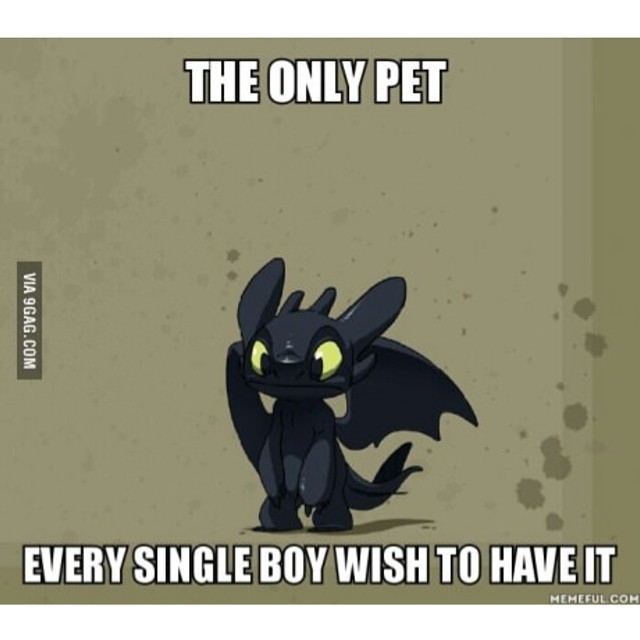 9gag:  The only pet. #9gag