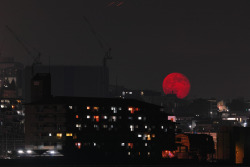 lo-caca-rond:  La plus belle lune qu'il me fut permis de trouver.