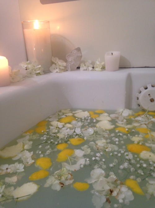 sleepydryad: Imbolc bath (lemon peel, powdered milk, coconut oil, honey, lavender oil, clary sage oi