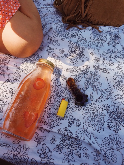 surrendertothevoidd:  Picnic in the park
