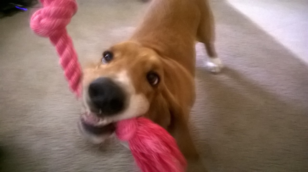 Look at this dummy &lt;3