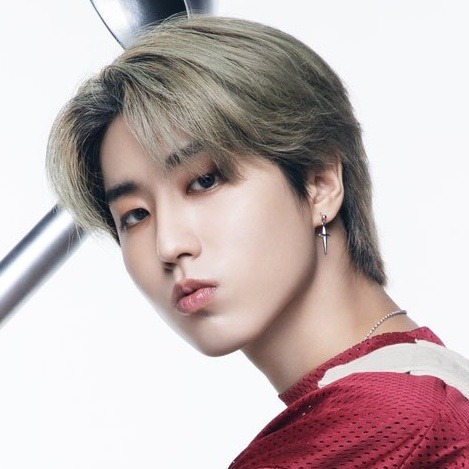 Han Jisung + Lee Felix Icons.