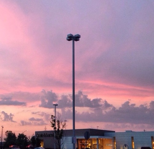 passivites:pink skies on my camera roll //ig: emojinalbabe