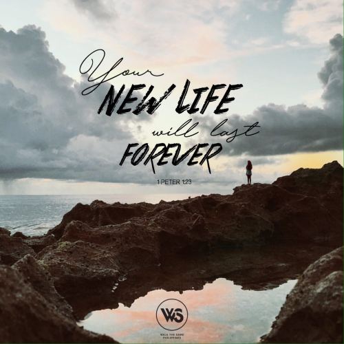 New LifeType and edit by @eggraphy “For you have been born again, but not to a life that will quickly end. Your new life will last forever because it comes from the eternal, living word of God.”1 Peter 1:23 NLT #walkthesame#walkthesamecreatives#walkthesamephilippines#WTSPH#wtscreatives#Christian#Christianity#Bible#bible verse#Jesus