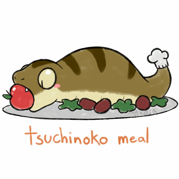tikara: I love Tsuchinoko!!!
