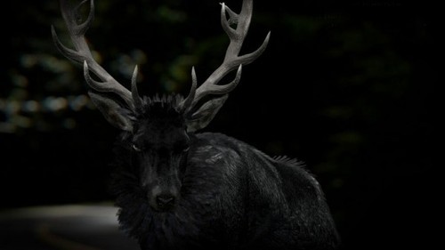 Porn drinkbloodlikewine:  donutshy:  Hannibal photos