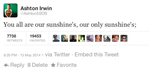 kitten5soslove:michaelpastelclifford:lukeyslegs: they are such sweethearts my heart