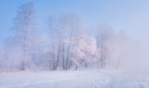 magic-spelldust:  Pastel Winter Scenes (photos by Алексей Угальников) 