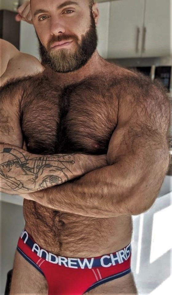 Teddy Bear