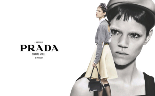 wearesodroee: Ad Campaign: Prada Spring/Summer 2019Model: Anok Yai, Freja Beha Erichsen, Gigi Hadid,