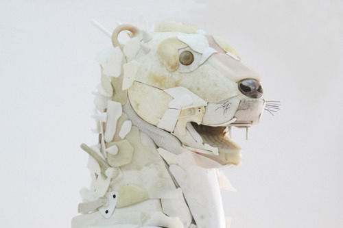 taktophoto:  Look What the Sea Washed In Wild Animals Made from Ocean Trash 