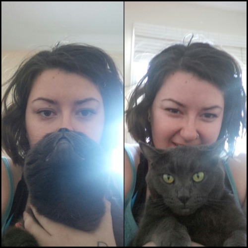 and-away-she-goes:Bella being a catbeard.