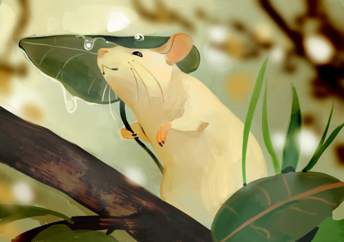 coldwind-shiningstars:gentletrees:M a u s  🐭   🌱 🌿     [ID: a digital drawing of a little white mouse using a leaf as an umbrella.]