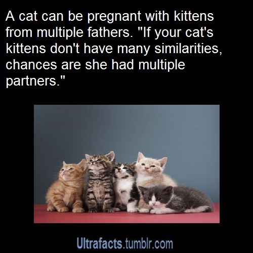 ultrafacts:  Source For more posts like this, follow the Ultrafacts Blog!