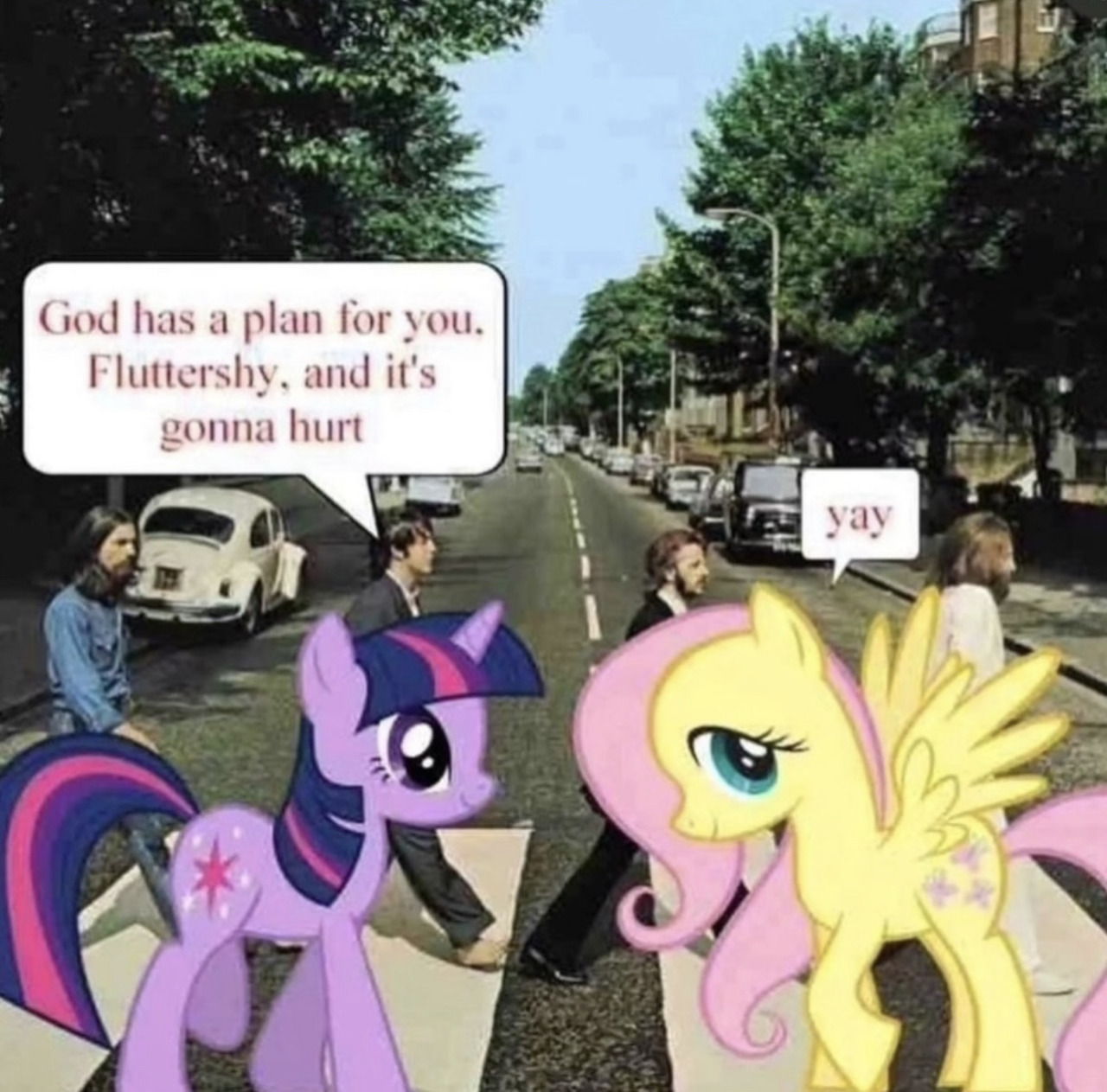 Twilight and Fluttershy poorly edited over the Abbey Road cover. Twilight says, 'God has a plan for you, Fluttershy, and it's gonna hurt'. Fluttershy responds, 'yay'.