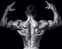 hardmushy:  workhard-trainharder:  The amazing symmetry of Ryan Terry  Dem taters is peeled and dried. 